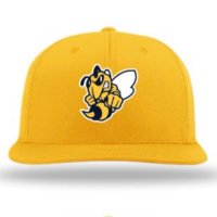 Yellow Jackets (@yellowjacketsks) 's Twitter Profile Photo Yellow Jackets (@yellowjacketsks) 's Twitter Profile Photo