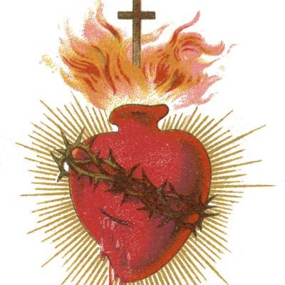 Catholic AZ wife. Most Sacred Heart of Jesus, truly present in the Holy Eucharist, I place all my trust in You. Boxer mom x2.