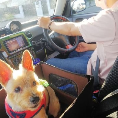 stchannelll's profile picture. いつもありがとうございます✨
貧乏でも心までは貧しくならず一隅を照らすような人でありたいです😼

好きなものは釣り、車、音楽、ゴミ拾い、雑談、ダジャレなどなどです🎶

上手い返しはできるかわかりませんが、ガンガン話しかけられると嬉しいです😆
YouTubeやライブ配信やってます👍

既婚者で子どもいます🙆‍♂