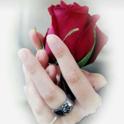 normohammedf's profile picture. 