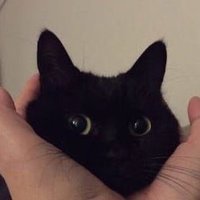 xio INAZUMA TMR (@scpslvr) 's Twitter Profile