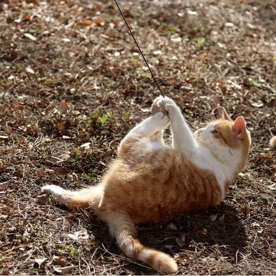 Fasic3's profile picture. 