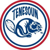 Tenesoun(@tenesoun) 's Twitter Profile Photo