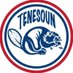 Tenesoun (@tenesoun) Twitter profile photo Tenesoun (@tenesoun) Twitter profile photo