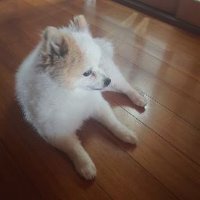 絶句ぜっくん。 (@jccjargsctxqmoa) 's Twitter Profile