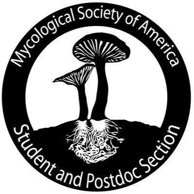 MSA Student and Postdoc Section Profile