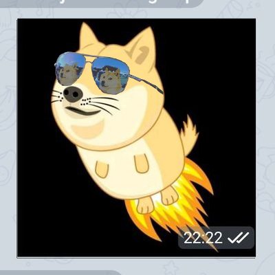 🐾Dogearmy #DoGoodEveryDay


🦮 tips are welcome here

D5de7UdPjdqHQw8LVqGUmVN1jaqAmTmQVd