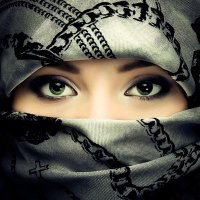 یزدی؟! (@reiiyaz) 's Twitter Profile