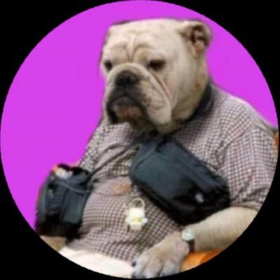 SteveSuckington's profile picture