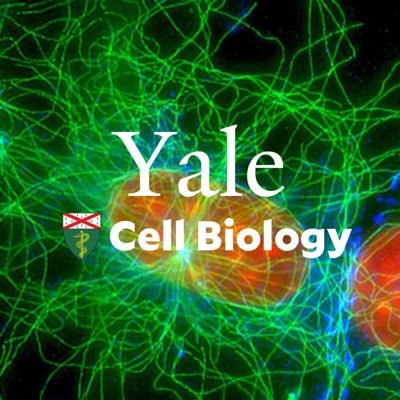 The official Twitter account for the Department of Cell Biology at the Yale School of Medicine.