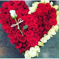 احمد وهيفاء (@lyfa5pbnipqaioh) Twitter profile photo