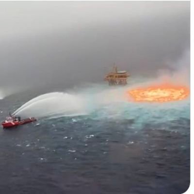 f7esp's profile picture. single