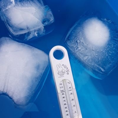 Marjan95849674's profile picture. 