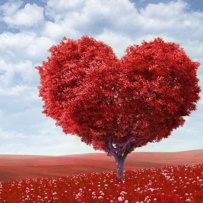 💕💕💕