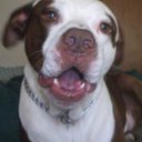 Melanie Tanner - @MelTanner1976 - Twitter