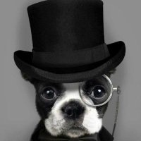 90sCryptoKid (@quickcryptotip) 's Twitter Profile