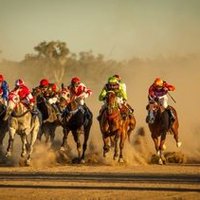 NSW Country and Picnic Racing(@picnic_racing) 's Twitter Profile Photo