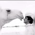 محمد عاالي (@xxxyyypp) Twitter profile photo محمد عاالي (@xxxyyypp) Twitter profile photo