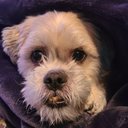 Kevin Harder - @harder_kevin - Twitter