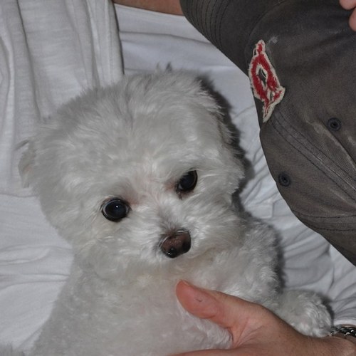 lzelermyer's profile picture. 