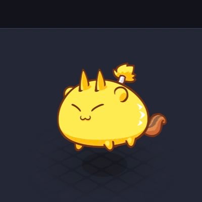 axie owner Profile