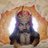 JupiterTheIdiot's profile image