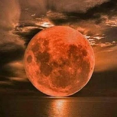 Valkiria163's profile picture. Here I present my misunderstood art NTF, New collection soon 🖼️