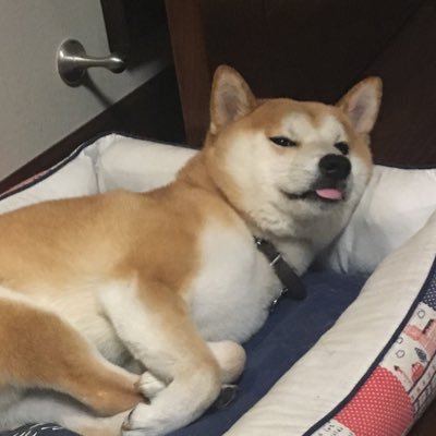 BrenWHさんのプロフィール画像