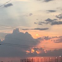 Karla Navarrete (@navarretekarla) 's Twitter Profile