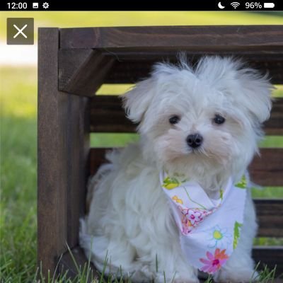 Sandylo98155736's profile picture. I love God.