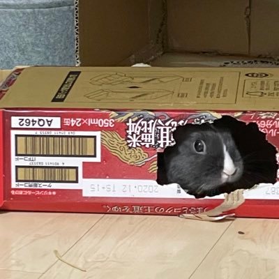 ᙏ̤̫͚ぷりんᙏ̤̫͚子牛ウサコさんのプロフィール画像
