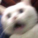 FanticaDemo's profile picture. 接推广/
关注小号@InaJosh3不迷路/
推特止于推特/
已有对象/
不定期更新