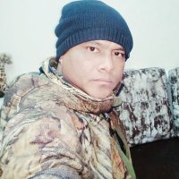NIMBUS CYGNUS (@nimbuscygnus) 's Twitter Profile