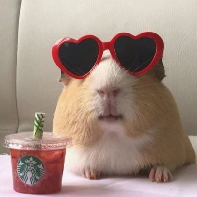 JD_StA's profile picture. 