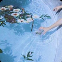 🤍 (@s1ncerelyno1) 's Twitter Profile
