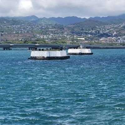 Samukai09779324's profile picture. 