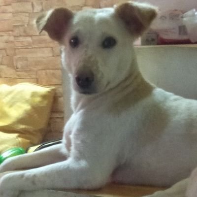 lolitapreppy1's profile picture. hi