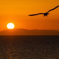 40/20pix (@4020pix) 's Twitter Profile