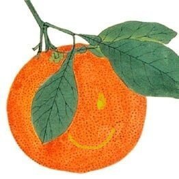 理想のミカンさんのプロフィール画像