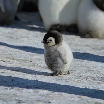 1000pockets's profile picture. 