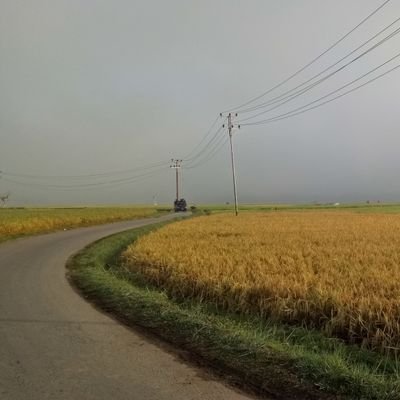 Mencari Ridho Allah