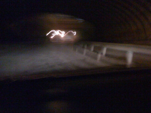 mikawendy's profile picture. light & music