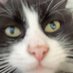 sylvesterpus068 (@sylvesterpus068) Twitter profile photo sylvesterpus068 (@sylvesterpus068) Twitter profile photo