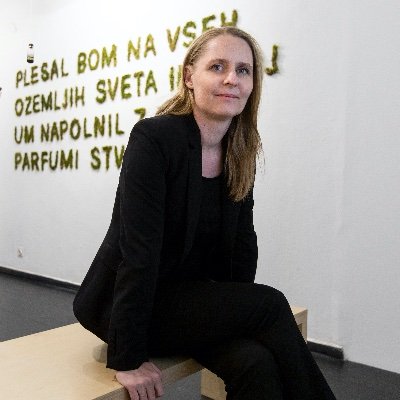 Associate Professor at the Academy of Fine Arts and Design Ljubljana, Founder of the Pekinpah Association, Director of the Ljubljana Design Institute.