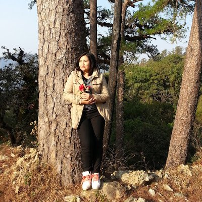 NanSet15's profile picture. 