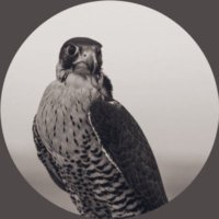 * (@km404f) 's Twitter Profile