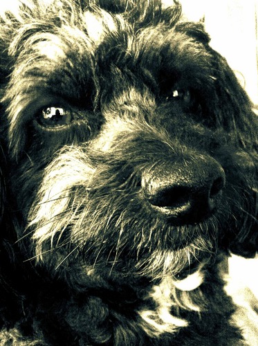 j_rudas's profile picture. 