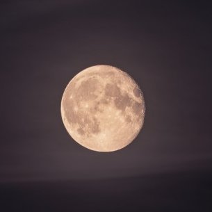 phantom_tales's profile picture. 