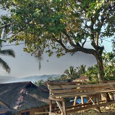 purohassuhuf's profile picture. purohassuhuf