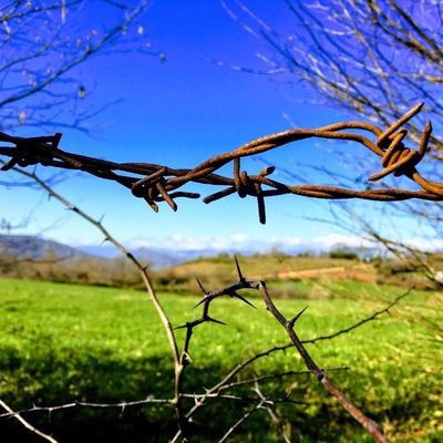 loilurtze's profile picture. Bizi zutik